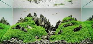 Here the plugin tool that i used in this tutorial. A Guide To Aquascaping The Planted Aquarium