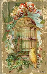 Bird In A Gilded Cage Song Large Gilded Gold Victorian Bird Cage Iphone Case By Designsbycclair In 2020 Art Art Pictures Bird