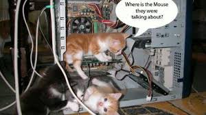 Wildlife photography is much more demanding than you would ever think. 20 Viral Funny Animal Pictures Shared On Facebook