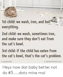 25 Best Memes About 3rd Child 3rd Child Memes