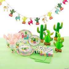 February 11, 2019 · celebrate a new. Cactus Fiesta Baby Shower Tableware Kit For 24 Guests Oriental Trading