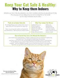 Pin On Animal Care Guides