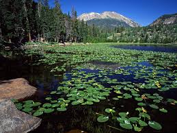 We have a lot of different topics like nature, abstract and a lot more. Rocky Mountain National Park Wallpapers Group 74