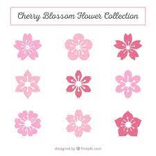 Download Variety Of Cherry Blossoms For Free Cherry Blossom Vector Sakura Flower Flower Drawing