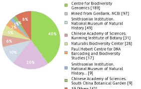 Image result for Amaranthus praetermissus