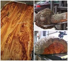 Design Dictionary Burl Decor Arts Now Burled Wood Wood Woodworking Materials