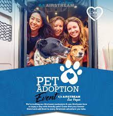 Check spelling or type a new query. Air Stream Lv Pet Adoptions The Animal Foundation