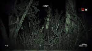 Outlast 2 Forest Night Vision Google Search Wendigo Outlast 2 Night Vision