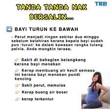 Melansir web md, ginjal adalah organ yang berguna untuk menyaring limbah atau racun dari darah. Tanda Tanda Rasa Nak Bersalin Wajib Kelab Pakar Hamil Facebook