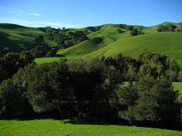 Hiking project is built by hikers like you. Briones Regional Park Hiking Trails Briones Peak Experience Northern California Hiking Trails