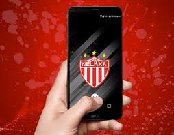 Maybe you would like to learn more about one of these? Necaxa Projects Photos Videos Logos Illustrations And Branding On Behance