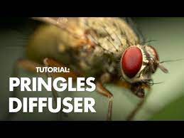 Lighting Equipment Can Be Really Pricey But If You Are Interested In Macro Photography You Might Be Surprised By The Kind Softbox Diffuser Macro Photography