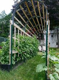 This trellis is an easy diy project. 53 Tomato Trellis Designs Completely Free Epic Gardening