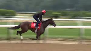 Also the oldest of the three, dating back to 1867, and the longest at 1 1/2 miles, the test of the champion has tremendous buzz when the kentucky derby/preakness winner seeks an historic triple crown sweep. Belmont Stakes 2020 Runs Without Fans As First Leg Of Horse Racing S Triple Crown Tiz The Law Wins Abc7 Chicago
