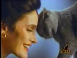 Check spelling or type a new query. Sheba Cat Food Commercial 1993 Youtube