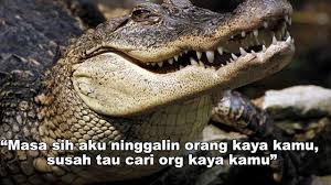 Whatsapp selain untuk mengirim pesan kepada orang lain wa juga banyak fiturnya. 6 Meme Modus Buaya Darat Ala Netizen Ini Sukses Bikin Geregetan Hot Liputan6 Com
