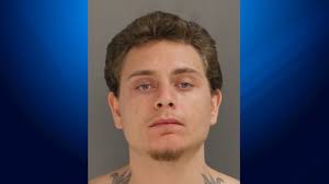 Bucks man pleads in deadly Doylestown DUI crash