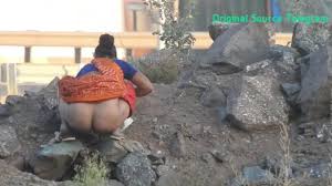 Desi Sexy Indian Lady captured Shitting - ThisVid.com