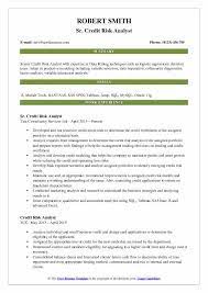 In this formal assessment template, we have provided a document on credit assessment in determining the feasibility of debtors using profile matching. Credit Risk Analyst Resume Samples Qwikresume