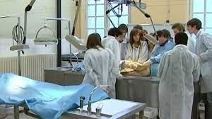 Donner Son Corps A La Science Definition Procedure Conditions Comment Faire