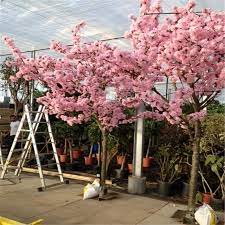 The okame cherry tree is the perfect focal point for your landscape. 3m 10ft Cherry Blossom Tree Artificial Trees Sale Z08 0711 Buy Fiberglass Cherry Blossom Tree Cheap Artificial Tree Artificial Big Tree Product On Alibaba Com