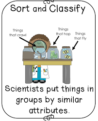 Inquiry Skills Science Unit Science Inquiry Science Units Teacher Favorite Things