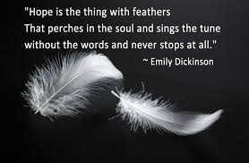 Symbolic Meaning Of Feathers On Whats Your Sign