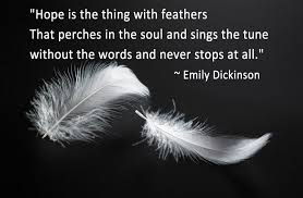 symbolic meaning of feathers on whats your sign