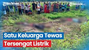 Terdapat sebanyak 25 golongan, termasuk pelaku umkm, bisnis kecil, industri kecil, dan kegiatan sosial dalam tabel ini. Satu Keluarga Di Bojonegoro Tewas Tersengat Listrik Di Sawah Youtube