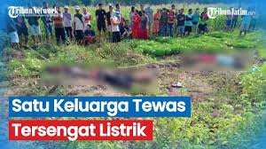 Daftar tarif listrik pln bersubsidi 2020. Satu Keluarga Di Bojonegoro Tewas Tersengat Listrik Di Sawah Youtube