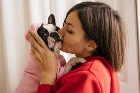 270 French Kissing Dog Stock Photos