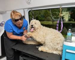 As featured in las vegas reveiw journal's the view. Aussie Pet Mobile The Leader In Mobile Pet Grooming