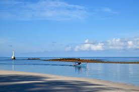 Image result for Malacca Blue 1990 Eagle