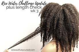 Rice water is rich in minerals and vitamins which have many benefits for skin and hair. Rice Water Challenge For Natural Hair Week 3 Beautifully Curled