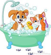 Dog And Cat Having A Bath Very Cute Dogs Dog Bath Dog Cat