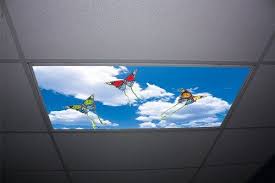 Butterfly Kites Skypanels Replacement Fluorescent Light Diffuser Skypanels Com Fluorescent Light Diffuser Light Film Kite