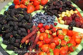 Each of cloves and allspice, to mashed berries. Mulberry Edible Landscaping