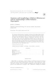 Image result for Behniaceae