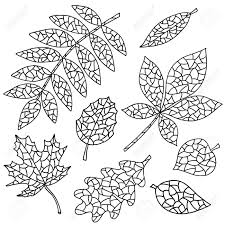 Take some time out to talk to him about the changing colors of fall. Set Of Abstract Autumn Leaves Coloring Pages For Kids And Adults Royalty Free Cliparts Vectors And Stock Illustration Image 130489626
