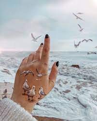 جمال الروح يظهر في أن نحب أناسا لم نرهم بأعيننا بل بقلوبنا رأيناهم وباحساسنا لمسنا رقيهم وجمال قلوبهم sunset girl dreamy photography gingerbread cookies