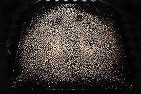 Image result for tbn:F7HKJEZ28fhrGM::www.artthrob.co.za/06jan/images/borland02a.jpg