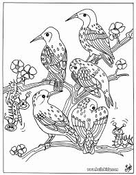 You Can Print Out This Hello Kitty With A Bird Coloring Page And Color It With Owl Coloring Pages Animal Coloring Pages Bird Coloring Pages