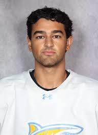 Long Island University Athletics