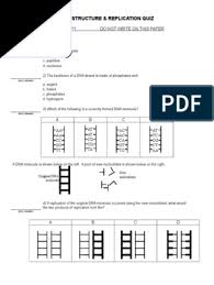People interested in dna structure worksheet answer key also searched for tags: Dna Structure Replication Quiz Key 12 13 Dna Replication Dna