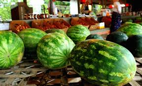 Die glykämische last ist deutlich realistischer, denn sie sagt aus, wie hoch die. Wie Man Eine Wassermelone Wahlt