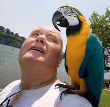 Spirit Of Freedom Celebration at McFarland Park