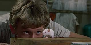 Rats! it's the BIG BROADCAST PREMIER of 1971's "WILLARD"...Saturday  Night...on MeTV!!! : r/svengoolie