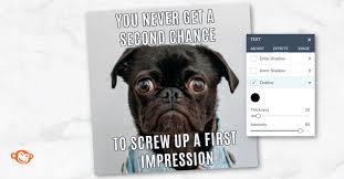 Europe's most wanted when an identical poodle was seen as a head trophy owned by captain chantel dubois. Meme Ideas Tips For Making Hilarious Memes Picmonkey