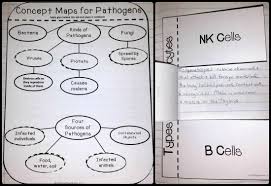 The Importance Of Interactive Notebooks In Secondary Grades Interactive Notebooks Interactive Science Notebook Science Notebook Activities