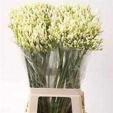 Pin On Wedding Flowers 2
